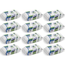 Solo Yüzey Temizlik Havlusu - Mendili 100 Yaprak Okaliptus & Çam Esintisi (12 Li Set) 1200 Yaprak