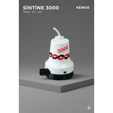 Özbience Yüksek Performanslı 3000 Gpm 12V Sintine Pompası Tmc Tipi