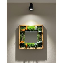 Aynalı Yosun Tablosu