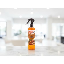 Kestane Kokulu Oto ve Oda Spreyi