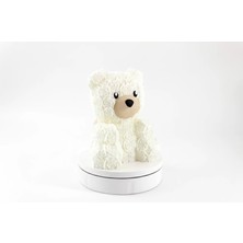 Bumerang3D Gül Desenli Ayıcık & Kapaklı Kalp Kutu