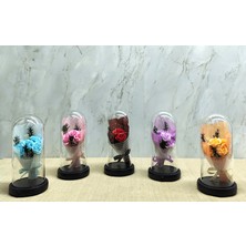 Hediye Bahçesi Işıklı Müzikli Fanus Içinde Gül Buketi