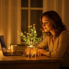 Hediye Bahçesi Siyah Saksılı LED Yapay Çiçek