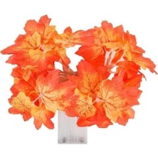 Hediye Bahçesi Dekoratif Sonbahar Yapraklı Şerit LED Işık