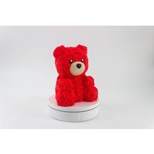 Bumerang3D Gül Desenli Ayıcık