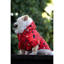 Hepta Collection Verlina Yılbaşına Özel Kırmızı Köpek Montu - Rahat Köpek Kıyafeti Kırmızı L
