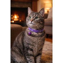 Burdabuldu Yavru Kedi Köpek Tasması 19 - 32 cm