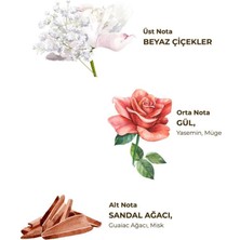 Line Kolonya Pet Şişe Sprey 150 ml Hatıralar Güvenli