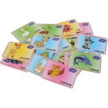 Kayem Kay Eğitici Resimli Bilgi Kartı Harfler 658474