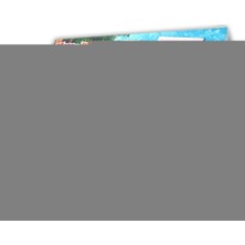 Kayem Kay MS7572 Maşa ile Koca Ayı Hafıza Oyunu -Laço 658474