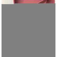 Bg Arzenis Arzenıs Blw Iı Silikon Beslenme Seti 3'lü (Tabaklı) Velvet Rose 5457884