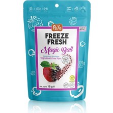 Kayem Kay Pol’s Freeze Fresh Magic Ball Böğürtlenli Elma Topu 16 gr 658474