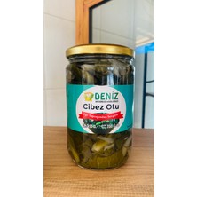 Deni̇z Deni̇z Börülcesi̇ Cibez Otu