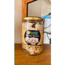 Deni̇z Deni̇z Börülcesi̇ Istiridye Mantarı