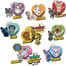 Bg Arzenis Arzenıs Kitty Club Gold Edition 3D Sürpriz Figür Paketi 5457884