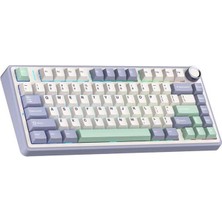 Aula F75 Bej Rgb %75 Tkl Gray Switch Kablolu/kablosuz Mekanik Oyuncu Klavyesi Teşhir