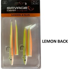 Özbience Iki Adet 10CM 10GR Suni Silikon Yem, Sandeel ve Slug Modeli, Balıkçılık Malzemesi