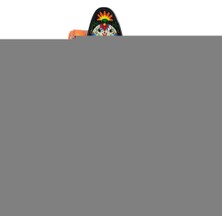 Platin Store Pilatin 881 Desenli Kaykay 56 cm Zeyd