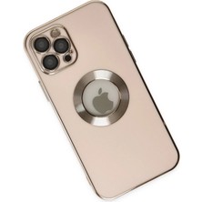 Platin Store Pilatin  iPhone 12 Pro Kılıf Store Silikon - Pembe Zeyd