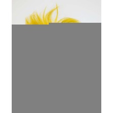 Platin Store Pilatin Wild Skull - Bakır Kafatası Sarı Saçlı Iskelet Maske Zeyd