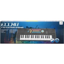 Platin Store Pilatin 01946  Mikrofonlu Elektronik Org 37 Tuşlu Zeyd