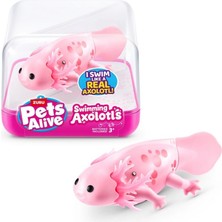 Platin Store Pilatin Pets Alive Yüzen Axolotl Zeyd