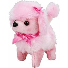 AlaNova Alano Man Sevimli Köpek Poodle VA74