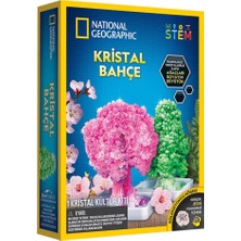 Platin Store Pilatin Natgeo Kristal Bitki Kiti Zeyd