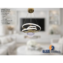Alge Avize Spiral Tek Top Gold Modern LED Avize