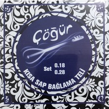 Delixa Raymond Joes Çöğür CGR18 Kısa Sap Saz Teli 0.18 Takım Bağlama Teli