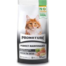 Delixa Pronature Hypo-Allergenic Tahılsız Yetişkin Kedi Maması Somon, Karides ve Enginarlı 10 kg