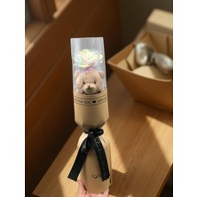 Masalsı Concept Dekoratif Peluş Ayıcık ve Yapay Çiçek | Şeffaf Kutulu Şık Tasarım Sevgiliye Hediye