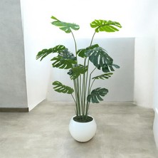 Asel Yapay Deve Tabanı Saksılı 180 Cm
