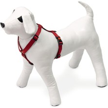 Delixa Kilitli Göğüs Tasması, Köpekler Için,25-40 Cm, Kırmızı