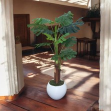 Asel Lifli Deve Tabanı 160 Cm