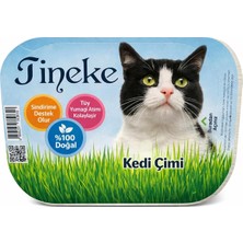 Delixa %100 Doğal Fileli Kedi Çimi (Tüy Yumağı Önleyici)