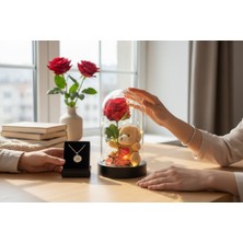 Masalsı Concept Cam Fanus Içinde Işıklı Gül + Peluş Ayıcık, Yanında Kolye Kutusu Sevililer Günü Hediyesi