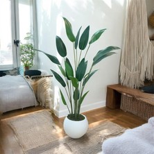 Asel Yapay Straliçe İnce Yaprak 165 Cm