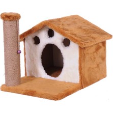 Delixa Kedi Tırmalama, Home, Kahverengi