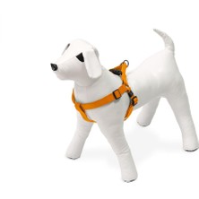Delixa Kilitli Göğüs Tasma, Köpek, L, 60-90 Cm, Turuncu