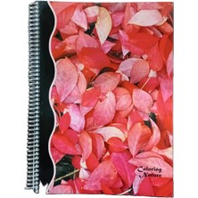 Ipekart A4 Spiralli Karton Kapak 120 Yaprak Çizgili Defter