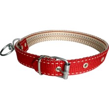 Delixa Tasma Atalier Köpek Boyun Tasması (Kırmızı)