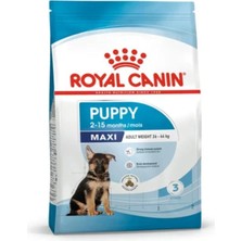 Delixa Royal Canin Royal Canın Maxi Puppy 15 kg