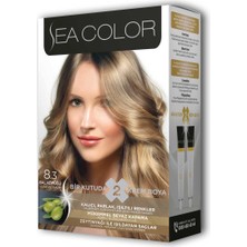 Akıllı Durak 2 Tüp Krem Saç Boyası Seti Bal Köpüğü No:8.3 (491)