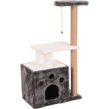 Delixa Kedi Tırmalama, Gordion, Gri