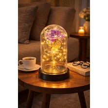 Deco Elit Dekoratif Solmayan Sonsuzluk Gülü Gün Işığı Peri LED Işıklı Büyük Boy Fanusta Gül Mor - Sevgiliye