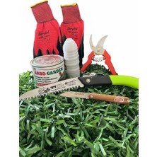 En1tarım Bitki Aşılama Seti 6 Parça- Aşılama Bağı 25M+ Macunu 500GR+ Çakısı+ Budama Testeresi+ Budama Makası+ Eldiven 10