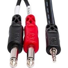 Skygo 3.5 Mm. Trs (M) - Dual 1/4 Inç Ts (M) Breakout Kablo 90 cm (CMP-153)