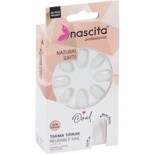 Delixa 36'lı Oval Takma Trnak - 141