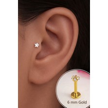 Sacce Scarves & Accessories Gold Çelik Yıldız Piercing 6 mm Zirkon Taşlı Kadın Aksesuar